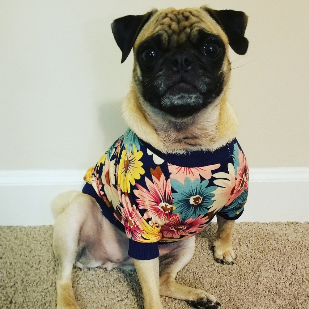 Meet your Poshers, Jessica & Penelope